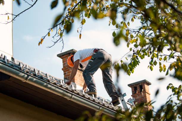 Roof Installation Near Me in Geneseo, IL