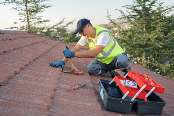 Best Flat Roof Repair Services  in Geneseo, IL